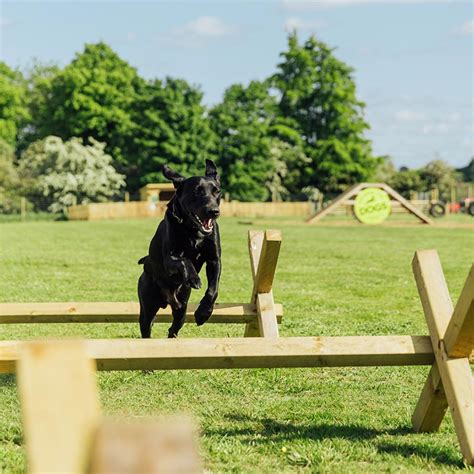 Unleash The Dogs Secure Dog Fields Across Central Scotland