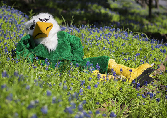 Unt 101 Unt Trivia And History University Of North Texas