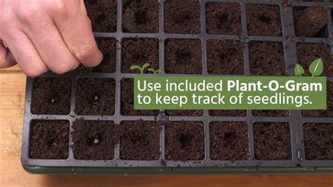 Watch Our Quick Start Gardening Guide Video On Seed Starting Essentials