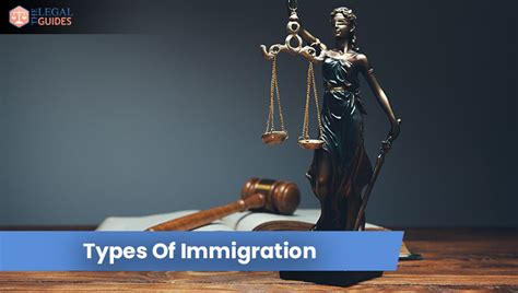 What Are Immigration Laws A Complete Guide Of 2021 Tlg