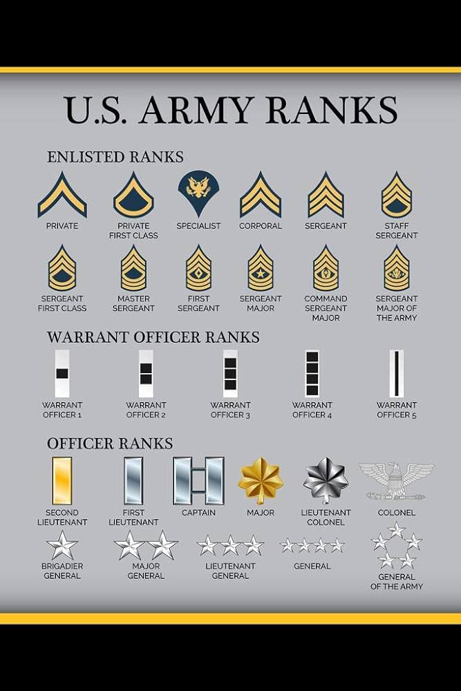 What Are The Ranks Of The Us Army In Order Images And Photos Finder