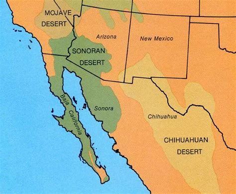 Where Two Deserts Meet U S National Park Service