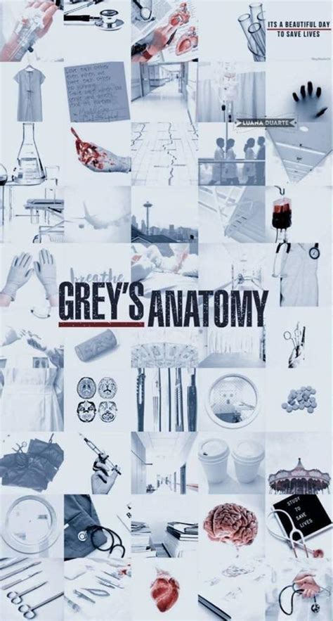 Wiki Grey S Anatomy Amino