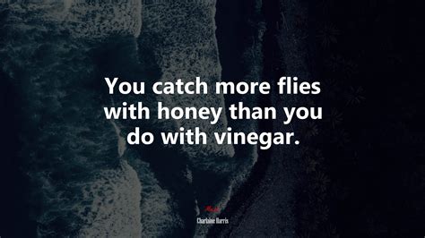 You Catch More Flies With Honey Than You Do With Vinegar Quote From